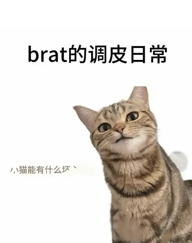 西檬之家什么是s倾向?字母圈新人入门 一