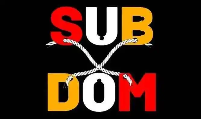 西檬之家字母圈DOM是什么意思? 一