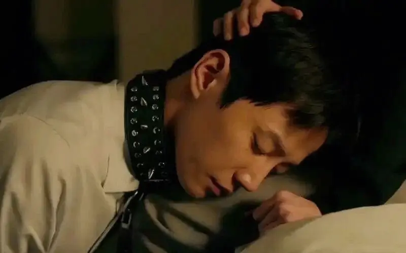 西檬之家s属性是什么意思? 一