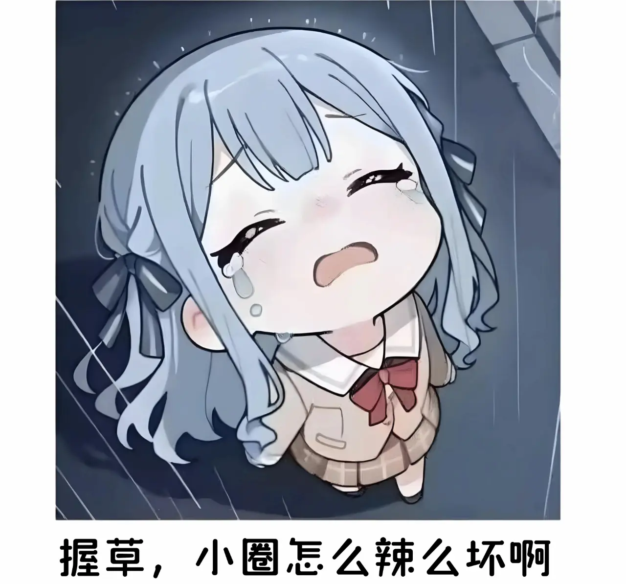 西檬之家sp小圈是什么?如何正确入门 一