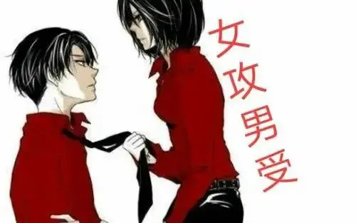 西檬之家K8是什么?字母圈新人必读 一