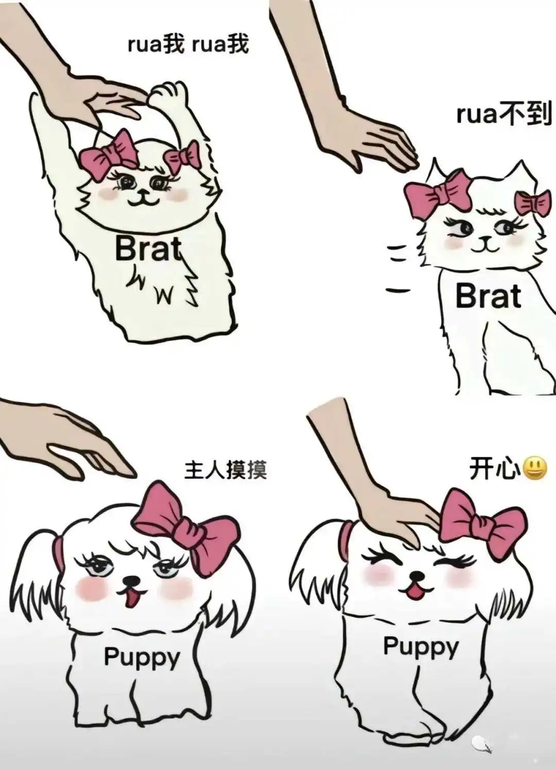 西檬之家dom是什么意思?字母圈新人入坑指南 一