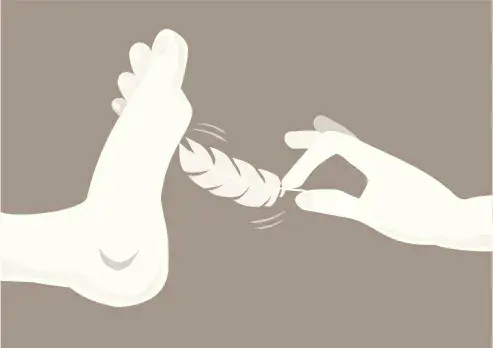 西檬之家M倾向是什么? 一