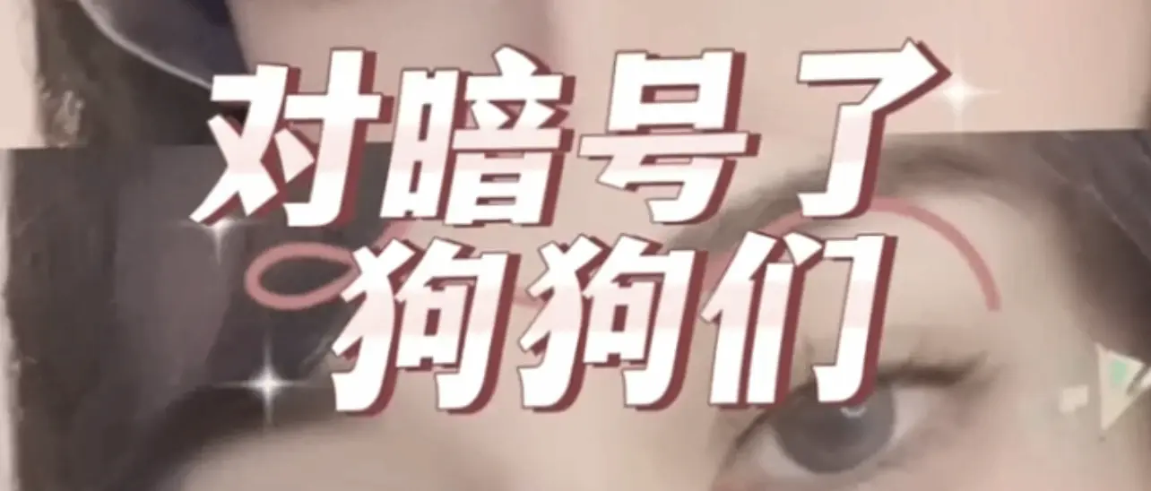 西檬之家女王在字母圈是什么意思? 一
