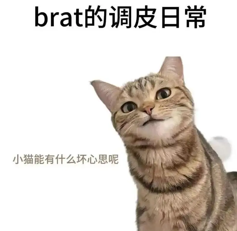 西檬之家Tickle是什么?字母圈玩趣指南 一