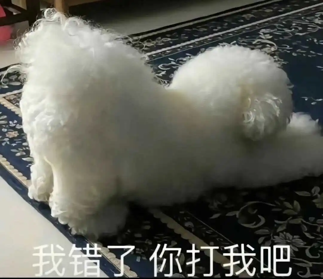 西檬之家k9是什么?字母圈角色全解析 一