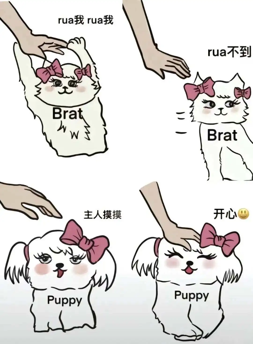 西檬之家k9是什么?字母圈新人入圈指南 一