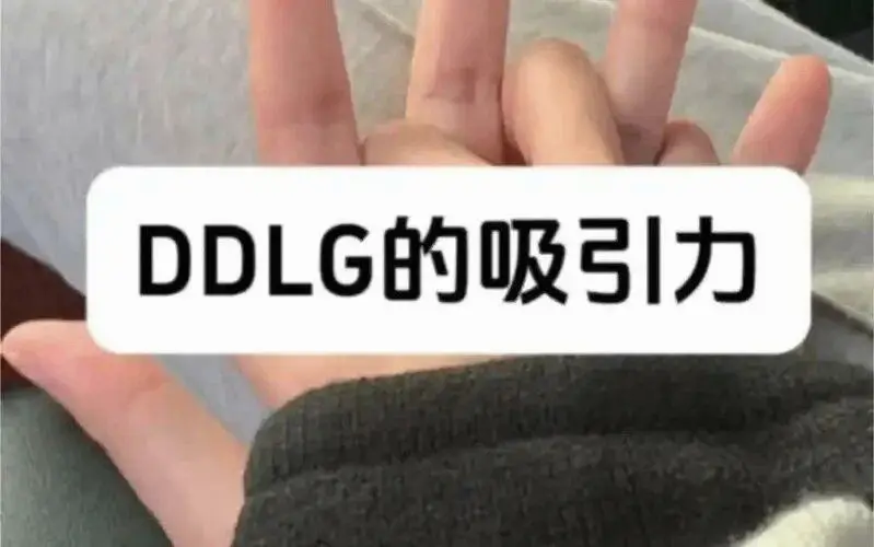 西檬之家k8是什么?字母圈新人的必知百科 一